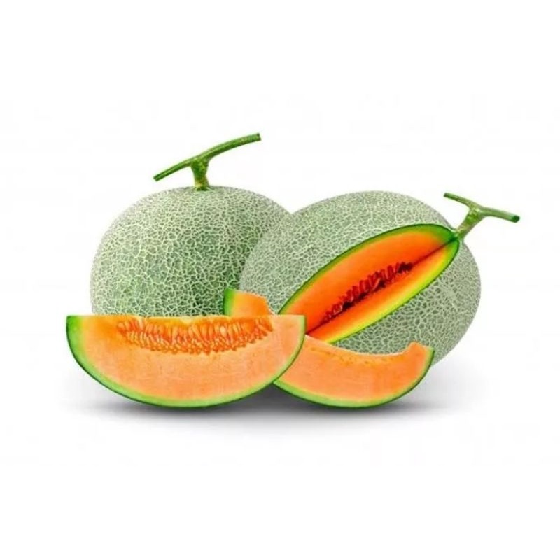 15 benih melon madu super