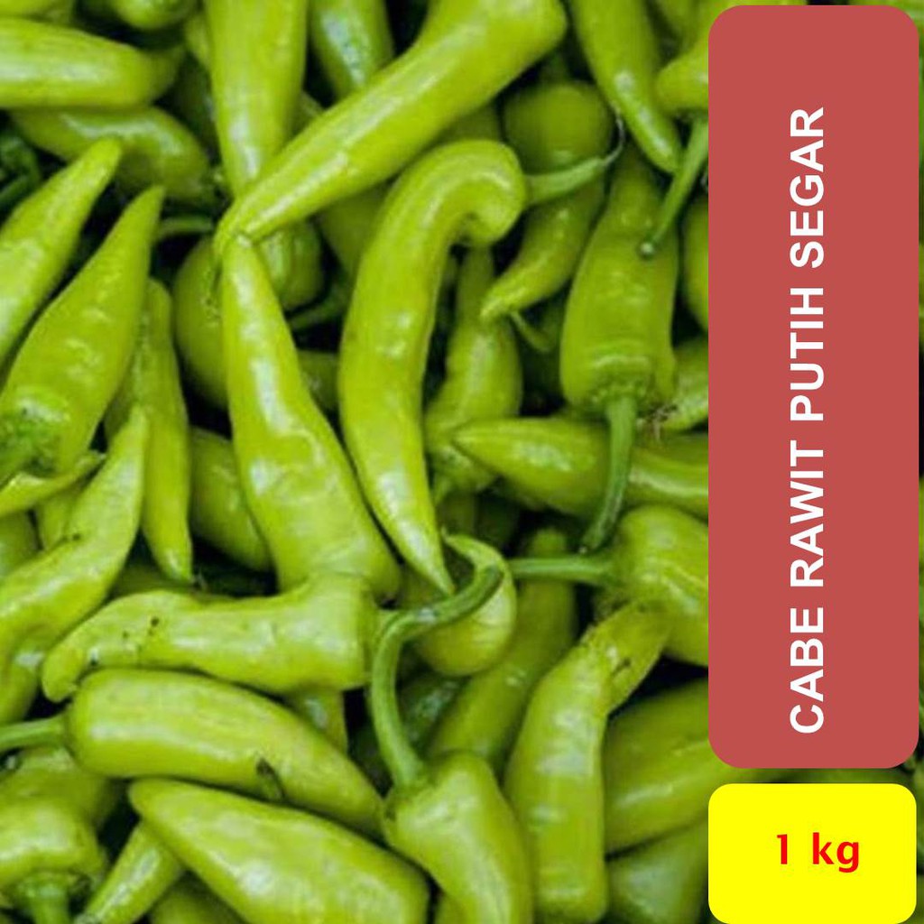 

Cabe Rawit Putih Segar 1000 gram