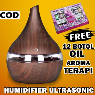 Humidifier Diffuser Aromaterapi Essential Oil Aromatherapy Disfuser Ultrasonic Pelembab Udara Pengharum Ruangan