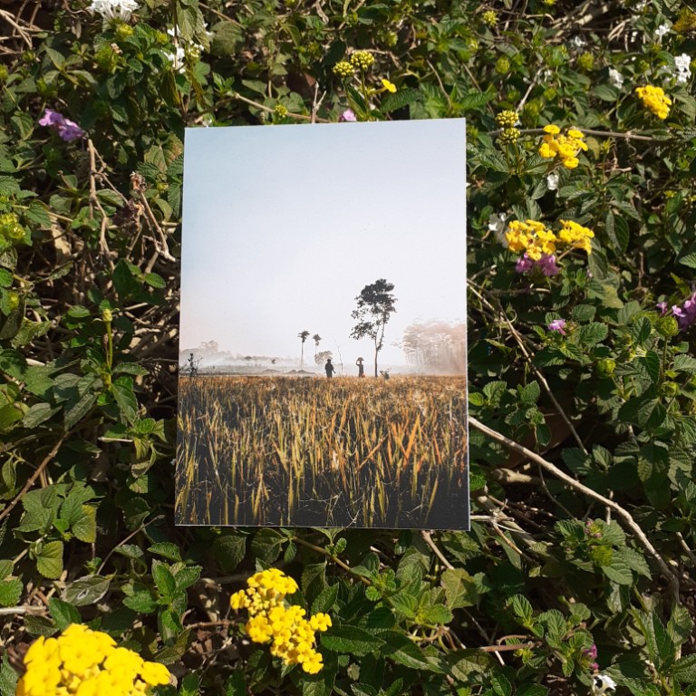 

[A-68] Kartu Pos/Postcard Petani Tradisional