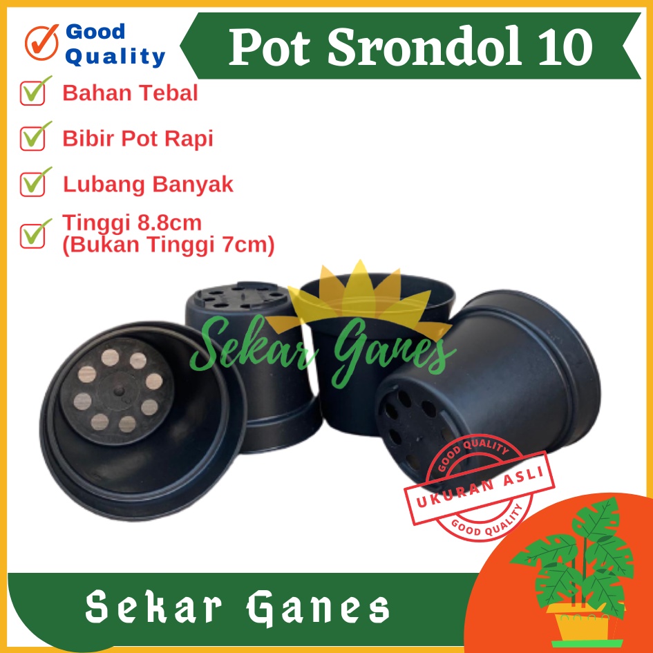 POT 10 CM HITAM MURAH - POT BULAT KECIL BISA UNTUK VAS BUNGA - POT TANAMAN 10CM HITAM BENIH KECIL OK