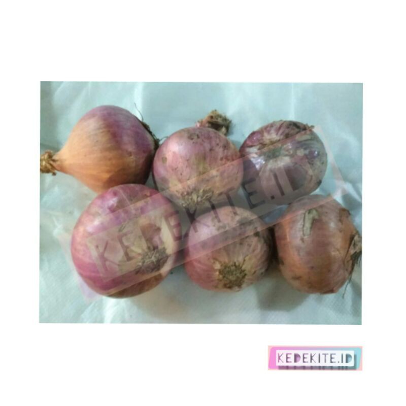 

Bawang Peking (Bawang Impor India)