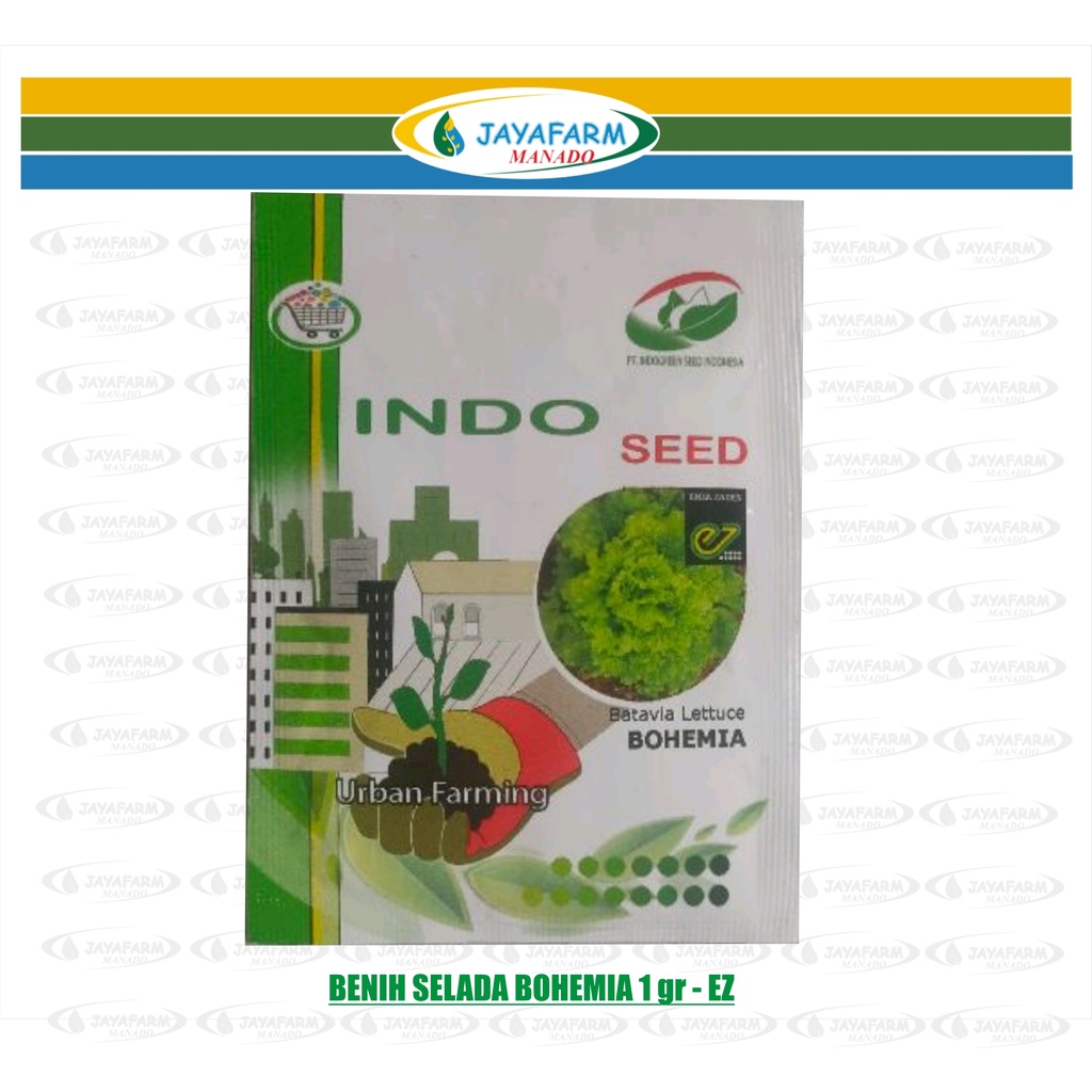 BENIH SELADA BOHEMIA 1 gr - EZ