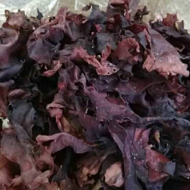 

rumput laut dulse (palmaria palmata) kering 100gr