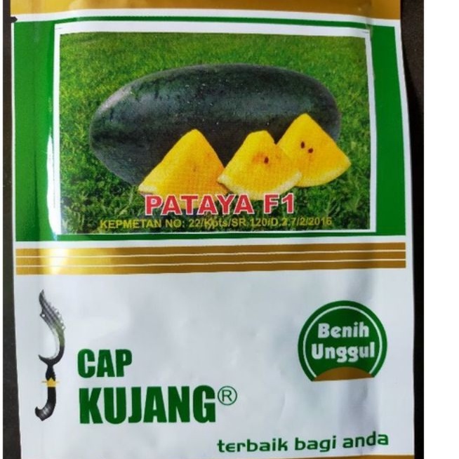 Semangka Pataya F1 20gr Hibrida Cap Kujang Original Pabrik Semangka inul Kuning Hibrida Tahan Antrak