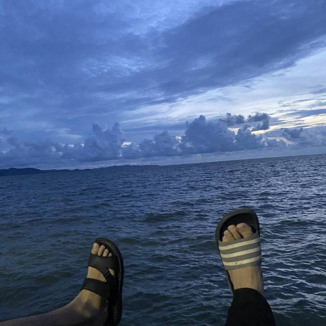 sriwilintu