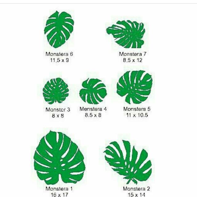 cutting sticker  monstera daun  hijau stiker  dinding hiasan 