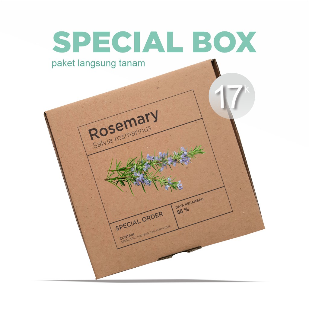 Paket Langsung Tanam - Gardening Kit - SPECIAL BOX - Benih Rosemary Herb Seeds