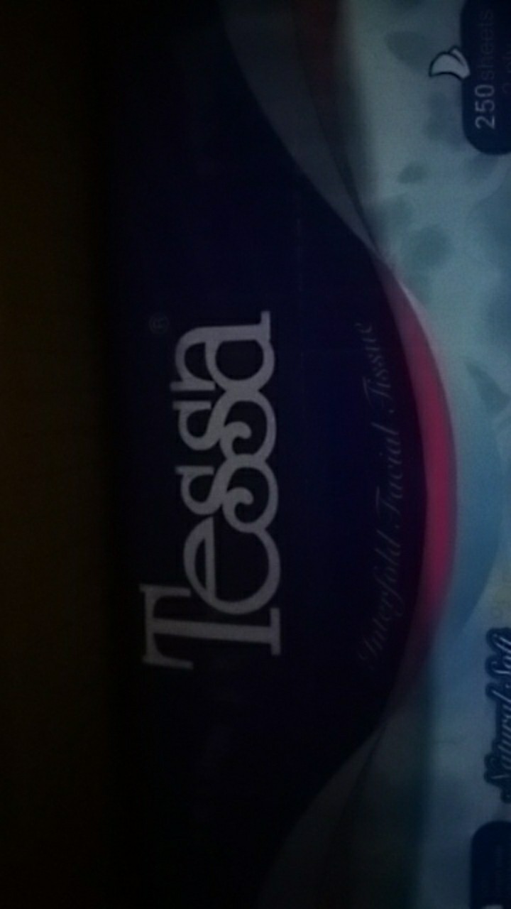 Tissue Tessa Natural Soft Tp-22 [250 Sheets 2 Ply] - 005228