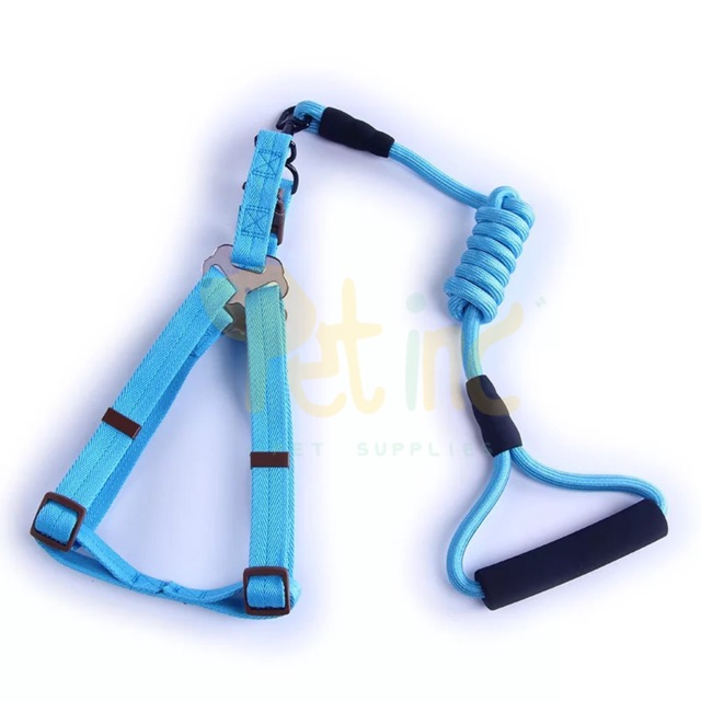 Dog rope H harness set