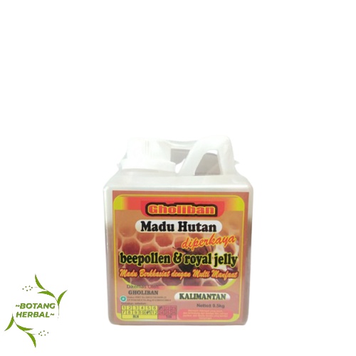 

Madu Hutan Kalimatan GHOLIBAN 500 gr / Madu Hutan Original GHOLIBAN / Madu better 500gr