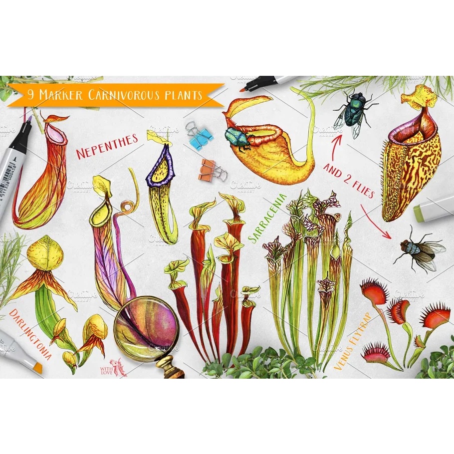 Carnivorous Plants Marker Set