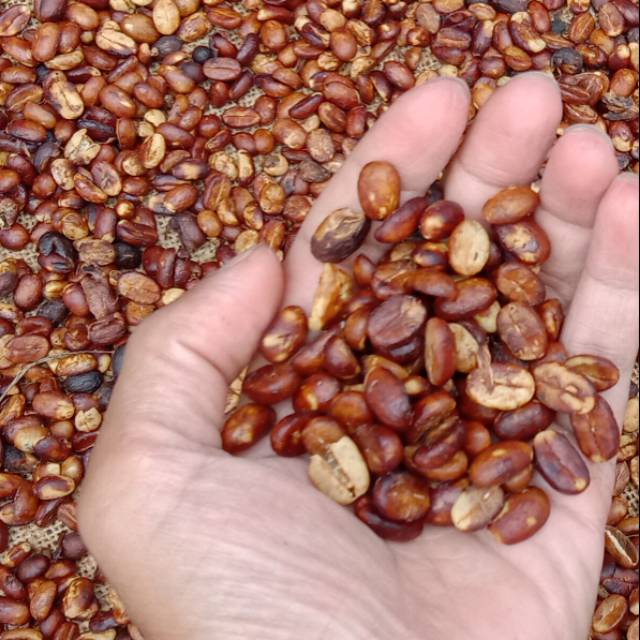 

Kopi Honey