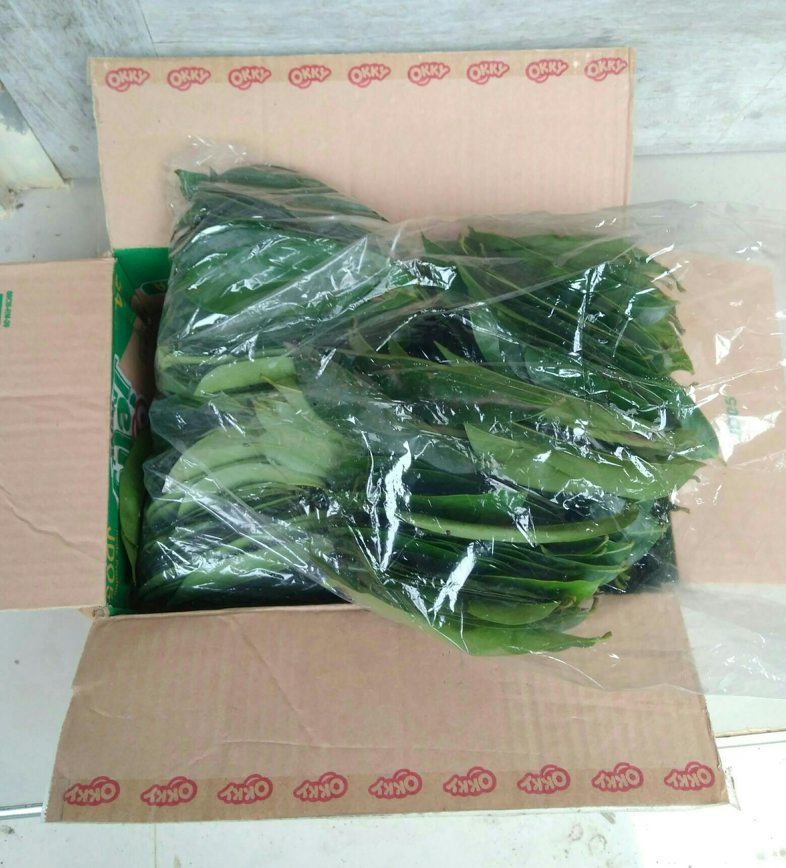 Daun Sirsak Alami Fresh Tanpa Pestisida/200lembar