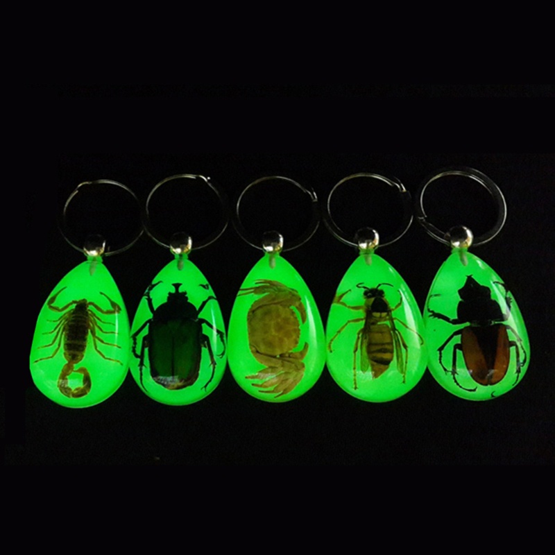 Siy Luminous Amber Insect Keychain Black Scorpion Resin Untuk Gantungan Kunci Glow in the Dark Liontin Dengan Sample Serangga Di Dalam