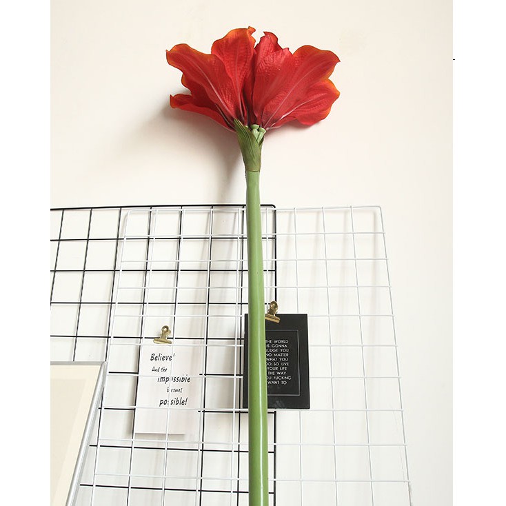 Bunga Artifisial / Bunga Simulasi - Bunga Amarilis Besar / Amaryllis Hippeastrum P96
