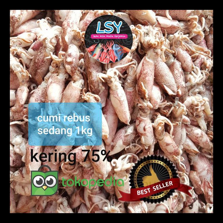 

NEW! CUMI ASIN REBUS/ SOTONG REBUS SIZE SEDANG 1KG PALING MURAH