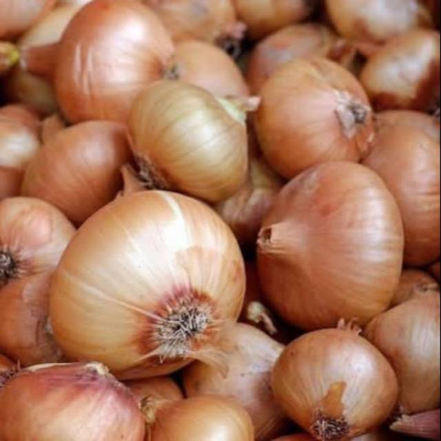 

Bawang Bombay 1kg