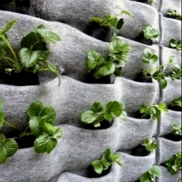 Karpet Geotextile nonwoven untuk vertical garden