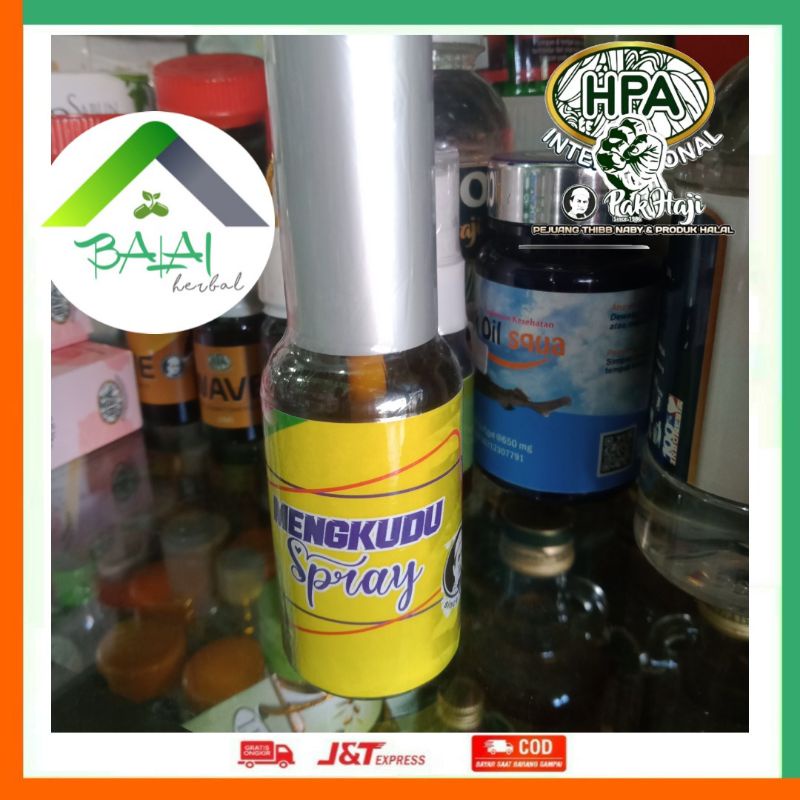 Mengkudu Spray Pak Haji HPA Internasional