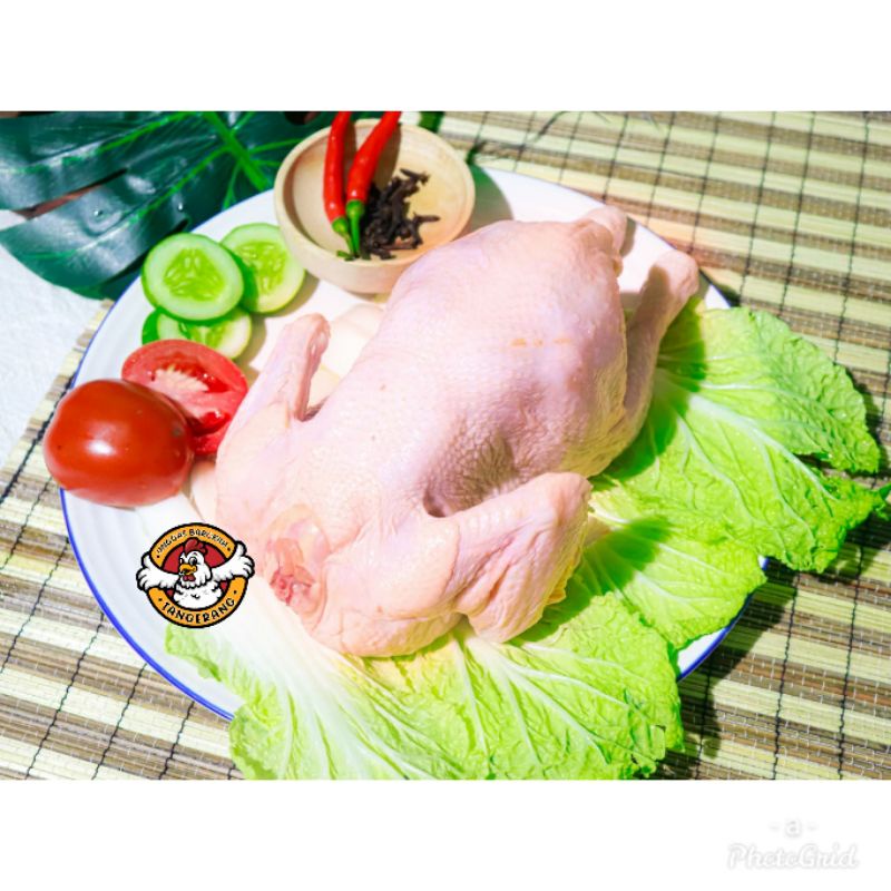 

Ayam Boiler / Ayam Negeri / Ayam gemuk/ Chicken Fresh dan Segar FREE POTONG
