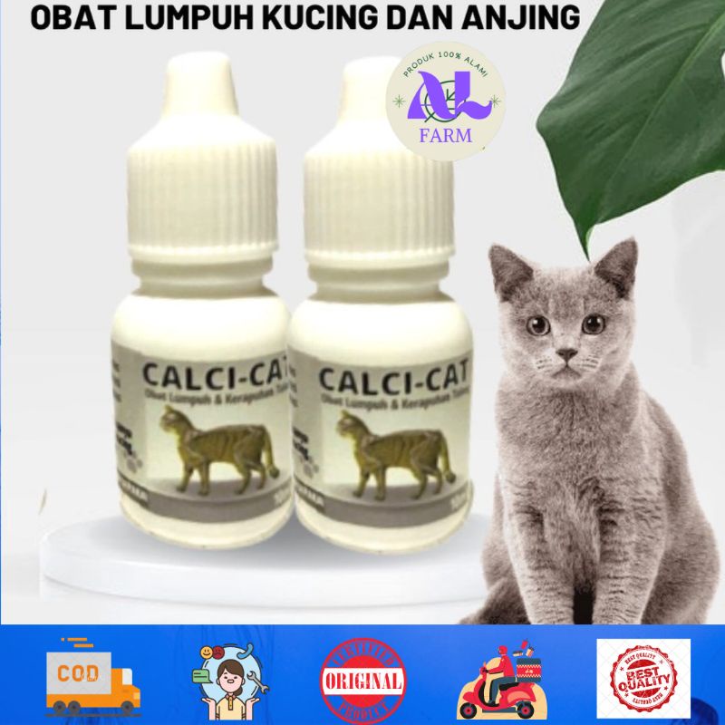 OBAT LUMPUH KUCING ANJING CALCICAT-DOG ALFARM