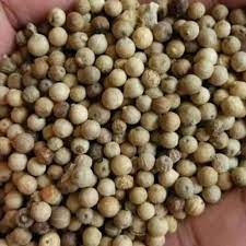 

Merica Putih Butir ( 100 gr, 250 gr )