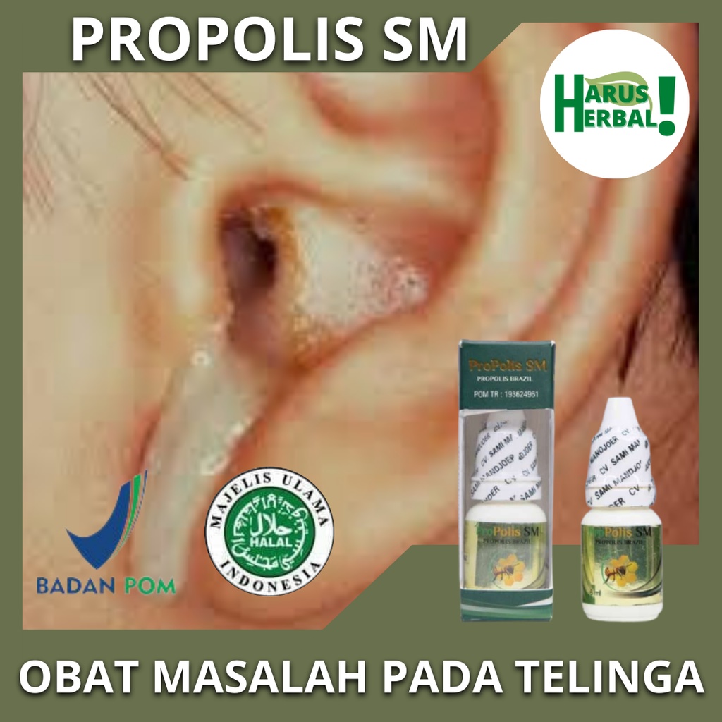 Obat Tetes Telinga Alami, Obat Tetes Telinga Bernanah & Bau, Telinga Berair, Obat Telinga Keluar Cai