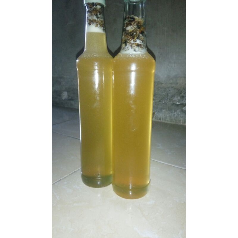 

Madu Asli nektar Randu dan Karet