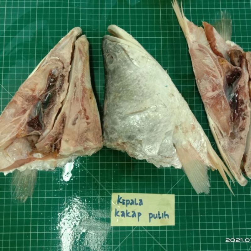 

22 seafood - kepala kakap putih 1kg