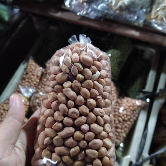 

Kacang tanah kacang tanah