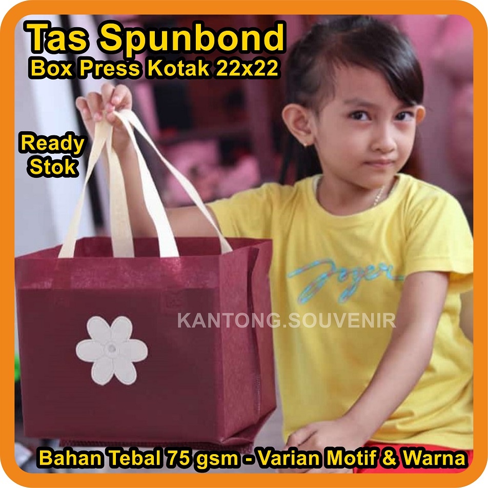 

1lusin (12 pcs) Tas box 22x22 20x20 18x18 kotak nasi kantong souvenir goodie bag spunbond press hajat pengajian murah