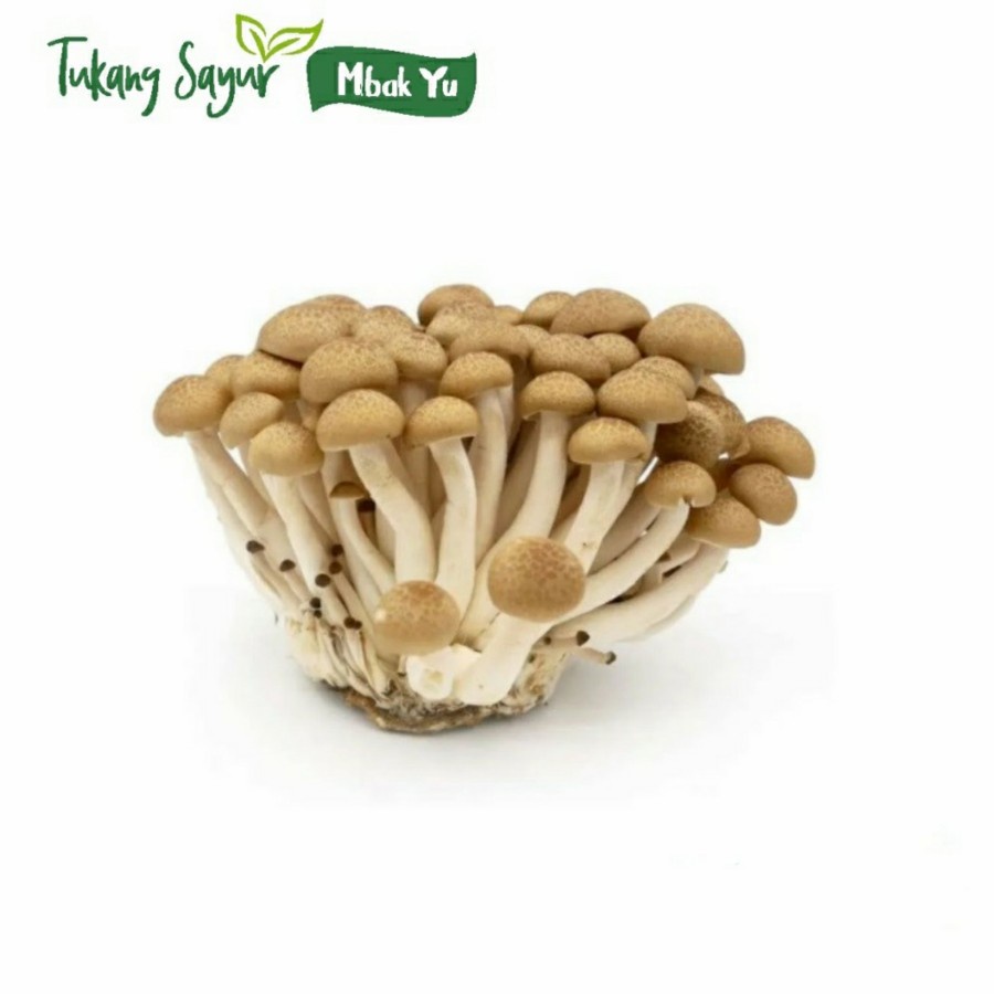 Jual jamur shimeji coklat per pack Shopee Indonesia