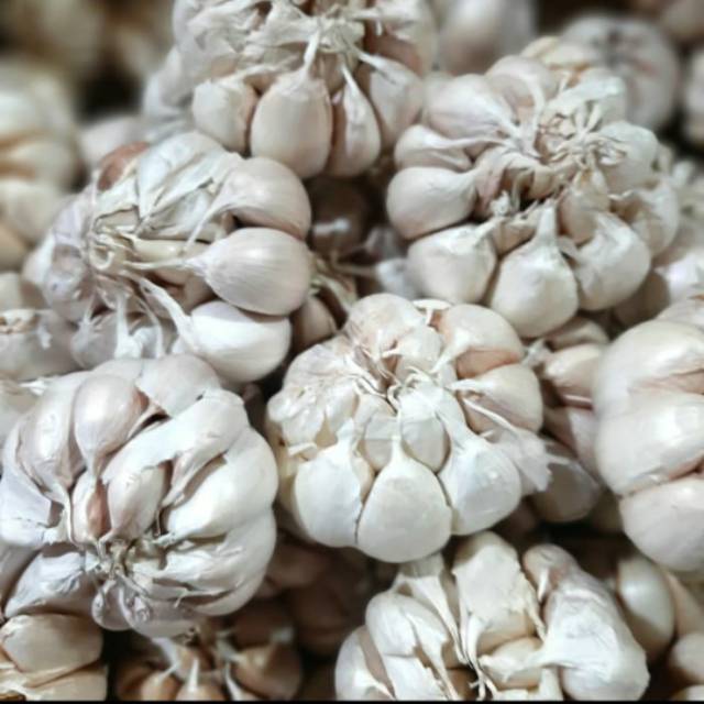 

Bawang putih banci 1kg