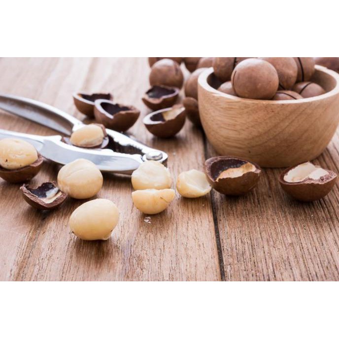 

TERLARIS KACANG MAKADAMIA PANGGANG 500GR / ROASTED MACADAMIA