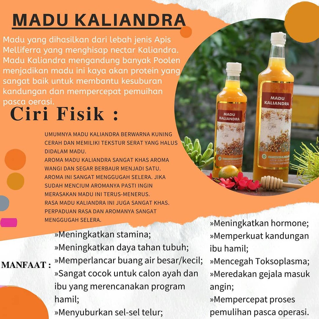 

Madu Kaliandra Madu hutan Malng