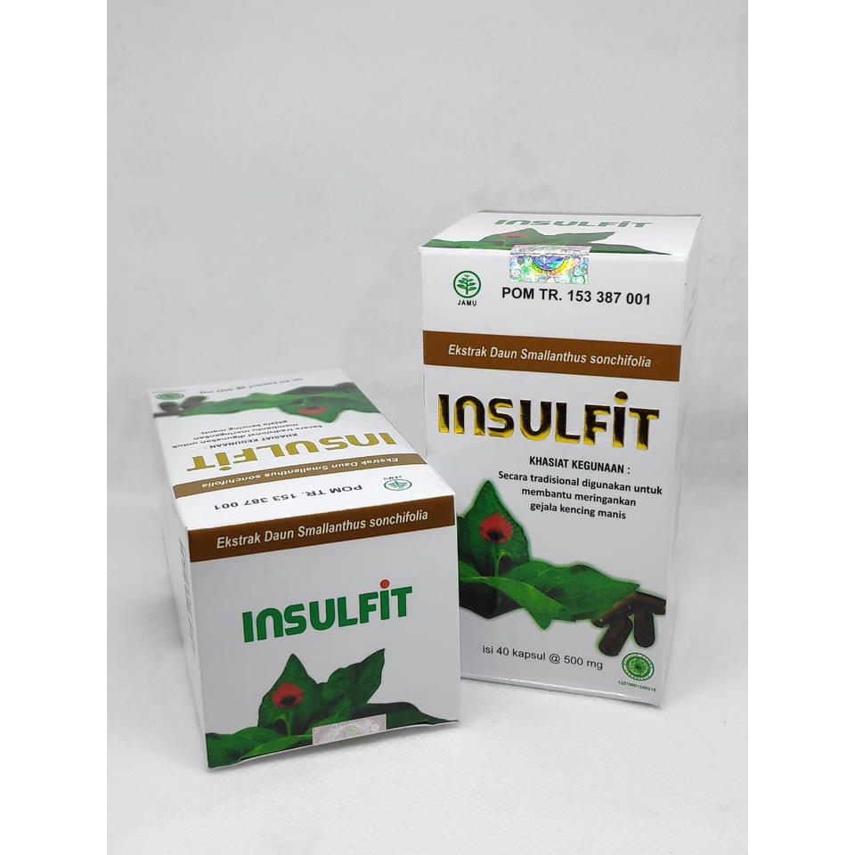 INSULFIT 40 KAPSUL EKSTRAK DAUN INSULIN ALAMI KONTROL GULA DARAH