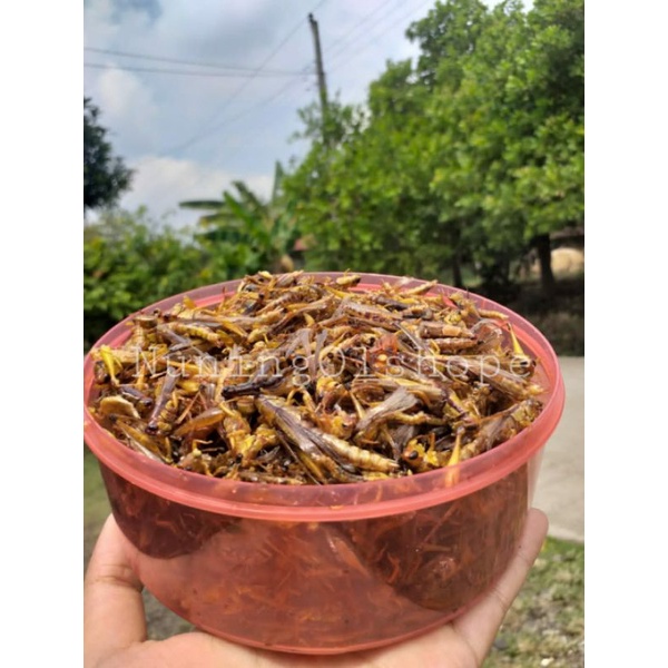 

BELALANG GORENG / WALANG GORENG RASA PEDAS MANIS