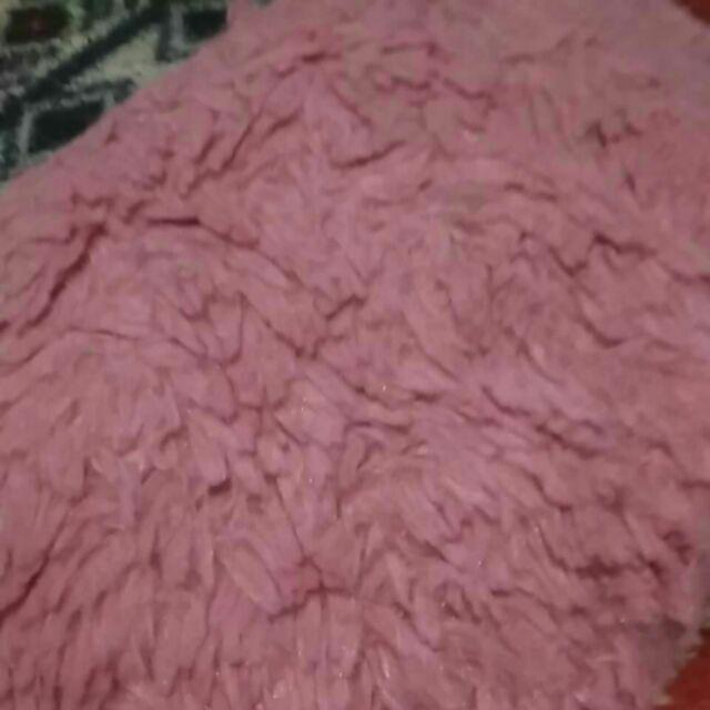 Ready Tanaman Bibit Buah Durian Montong / Duren Monthong