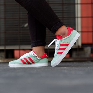 gazelle ice mint