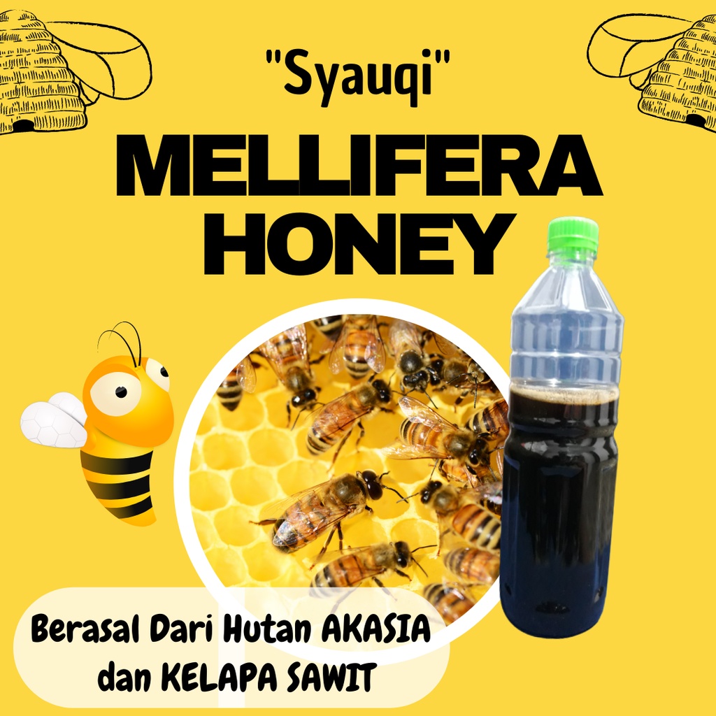 

SYAUQI MADU MELIFERA, Madu Asli dan Murni Hutan Akasia Dan Perkebunan Kelapa Sawit 1 Kg