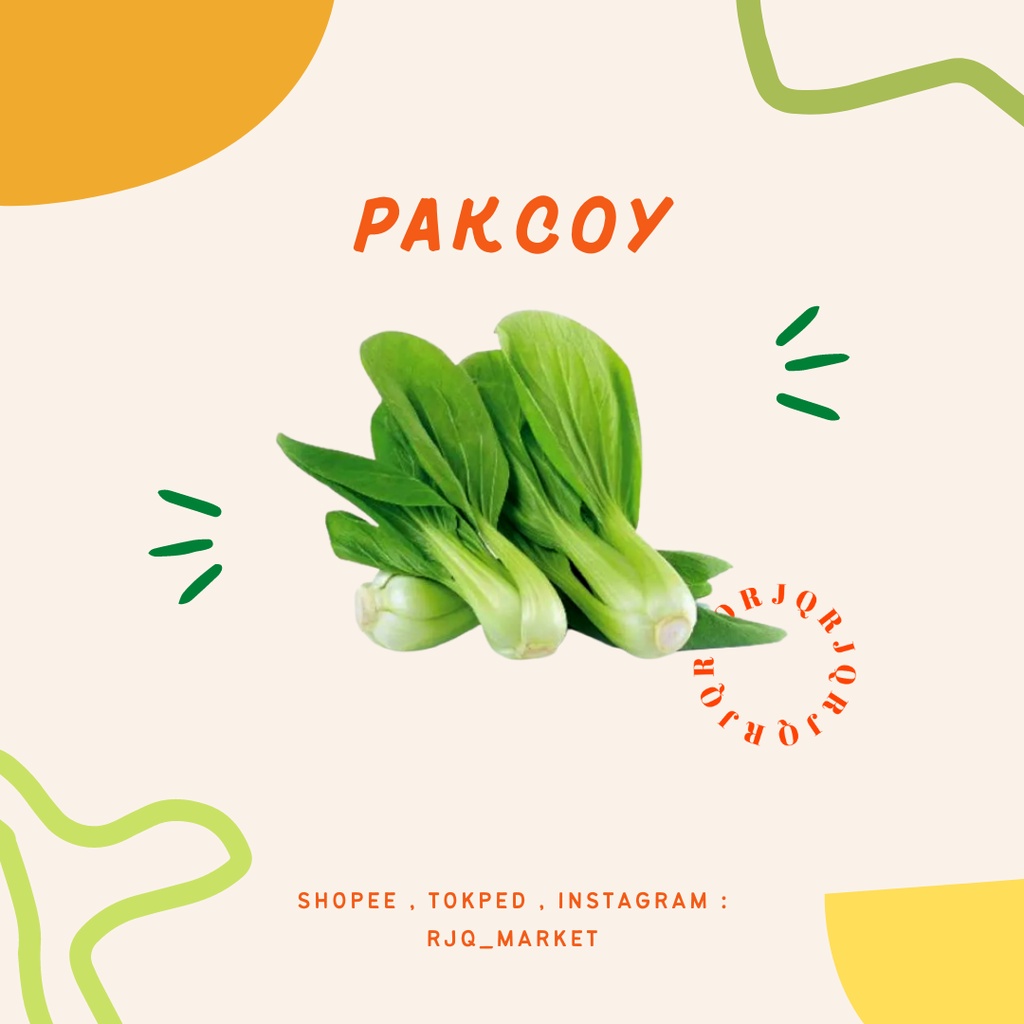 

SAYUR PAKCOY - SAYURAN SEGAR