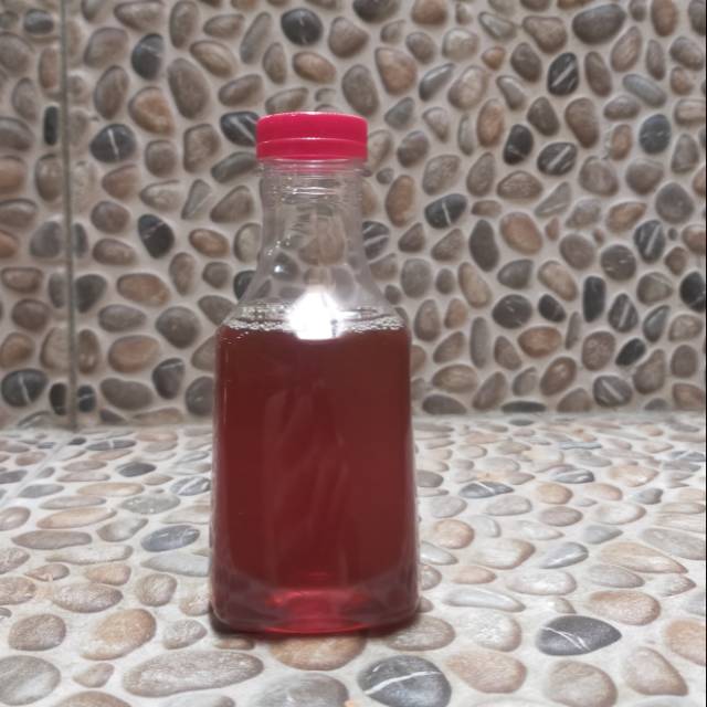 

Asli Madu Hutan