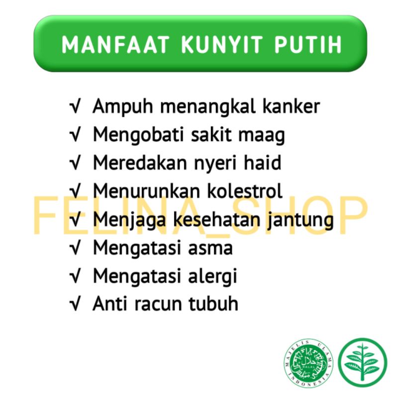 Kunyit Putih kapsul kunir putih herbal keputihan kanker serviks rahim payudara kista myom haid tidak lancar dan gerd asam lambung isi 50 kapsul-1