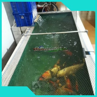 Harga Netting Kolam Ikan