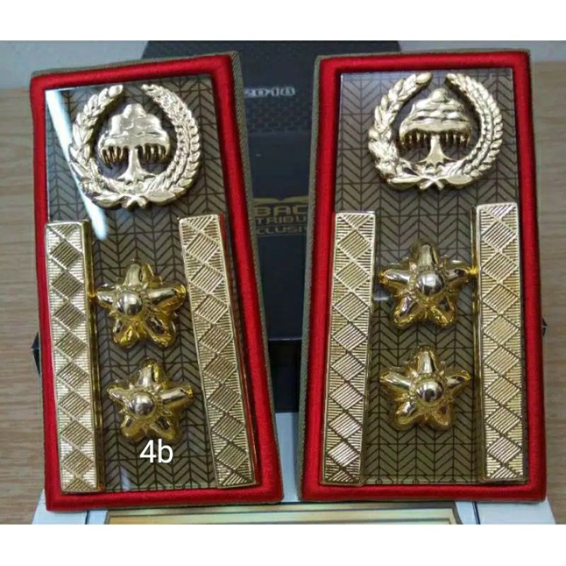 pangkat asn golongan 4b/pangkat PNS golongan 4b masing"daerah