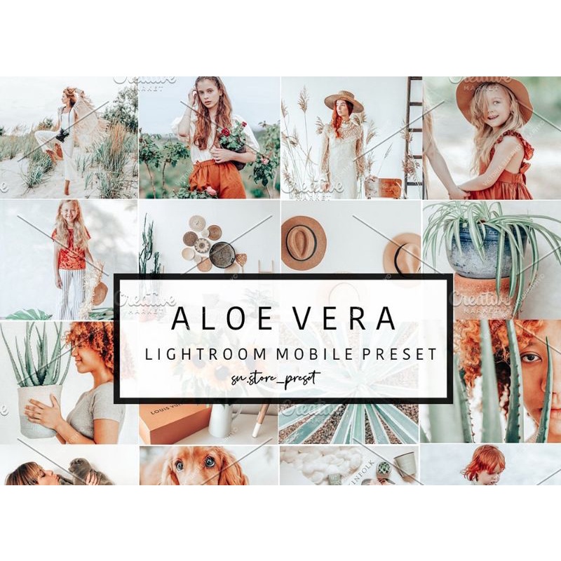 5 PRESET LIGHTROOM MINIPACK ALOEVERA SERIES For IOS &amp; Android