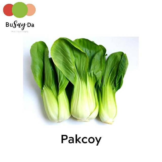 

Pakcoy/Pakchoy/Pokcoy/Coysam/Bokchoy (250 gram)