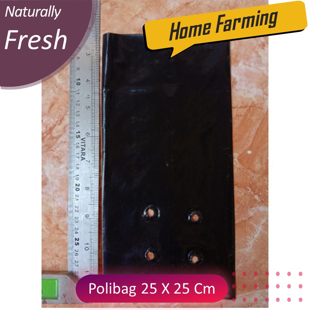 Polybag 25 x 25 Cm