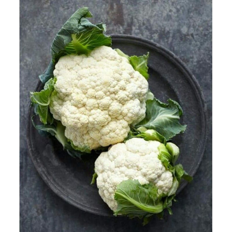 

KEMBANG KOL(500GR)
